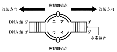 解説画像